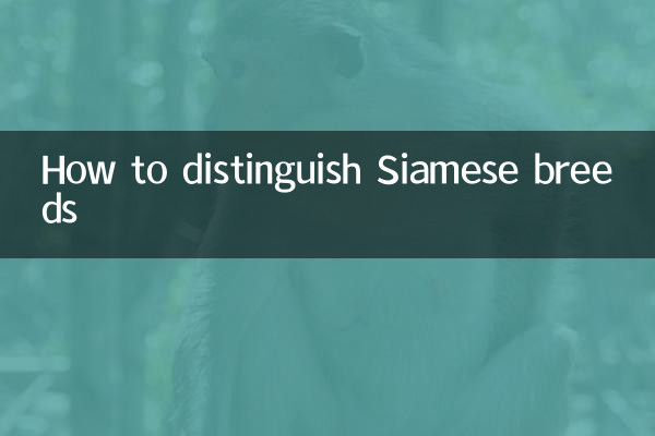 샴 품종을 구별하는 방법