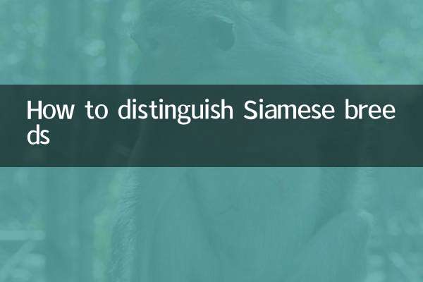 샴 품종을 구별하는 방법