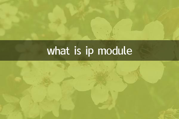 Was ist ein IP-Modul?