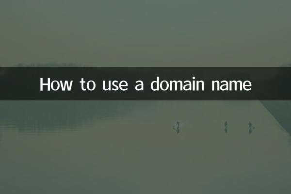 도메인 이름을 사용하는 방법