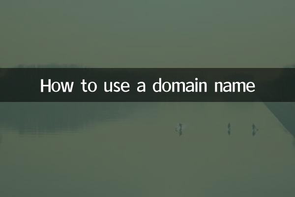 도메인 이름을 사용하는 방법