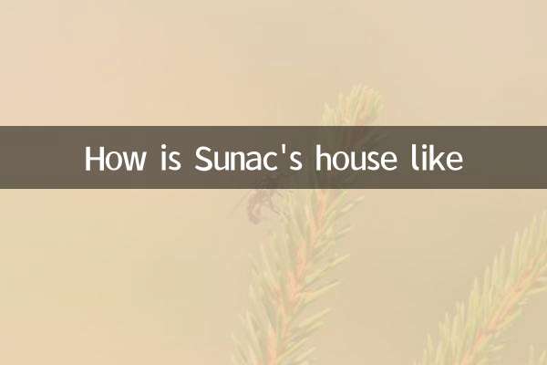 خانه Sunac چگونه است