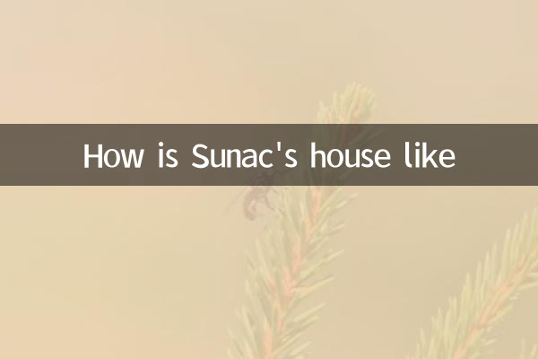 خانه Sunac چگونه است