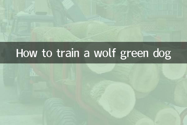 Wie man einen wolfsgrünen Hund trainiert