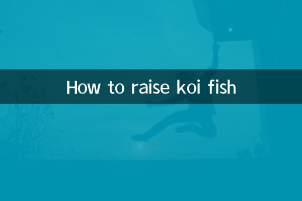 How to raise koi fish