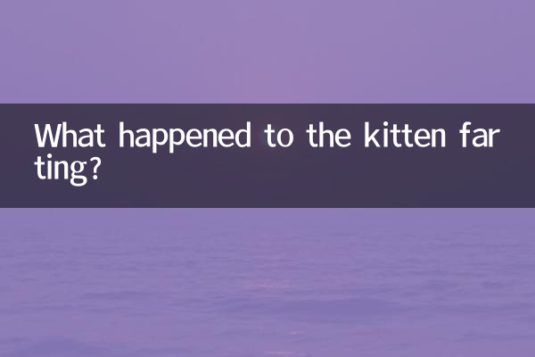 Qu'est-il arrivé au chaton qui pète ?