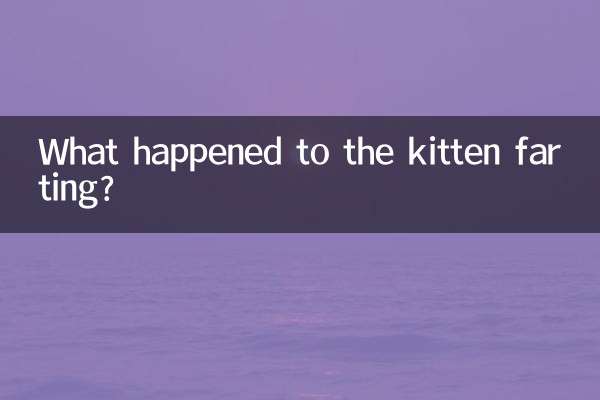 Qu'est-il arrivé au chaton qui pète ?