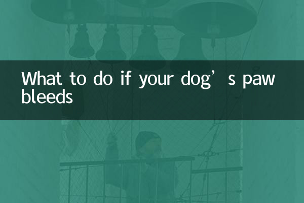 犬の足から出血した場合の対処法