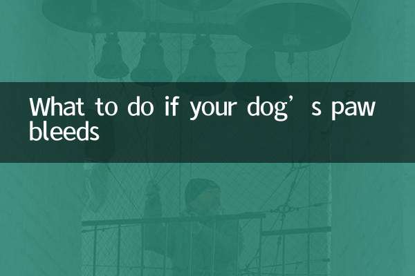 犬の足から出血した場合の対処法