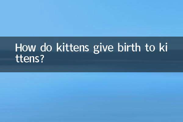 بلی کے بچے بلی کے بچوں کو کس طرح جنم دیتے ہیں؟