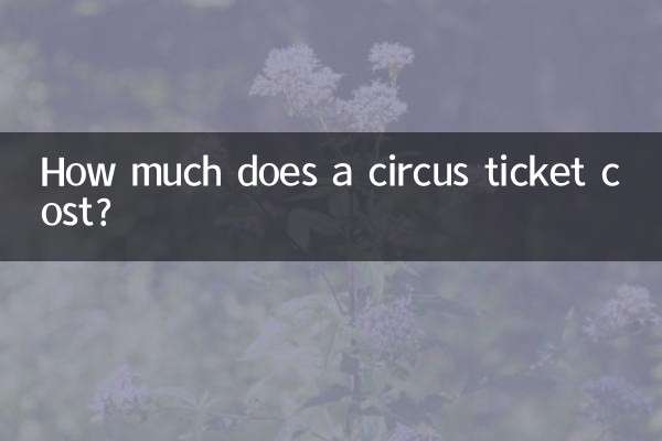 Wie viel kostet eine Zirkuskarte?