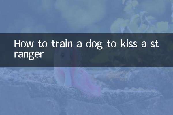 Wie man einem Hund beibringt, einen Fremden zu küssen
