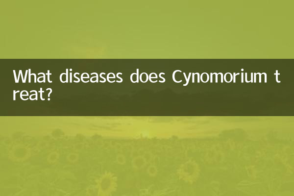 Cynomorium은 어떤 질병을 치료합니까?