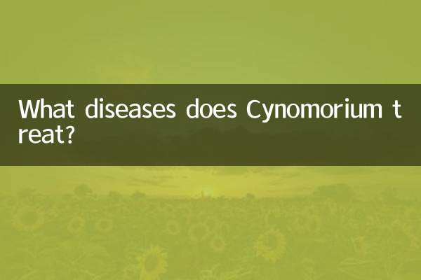 Cynomorium은 어떤 질병을 치료합니까?