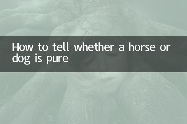 Wie erkennt man, ob ein Pferd oder ein Hund rein ist?