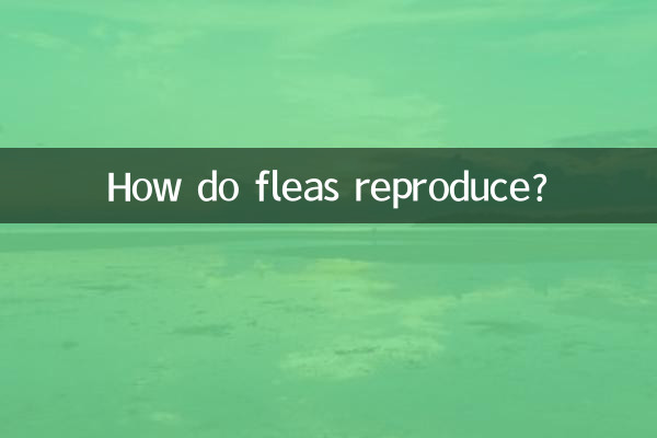 ¿Cómo se reproducen las pulgas?