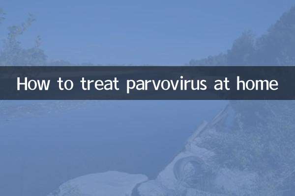 Comment traiter le parvovirus à la maison