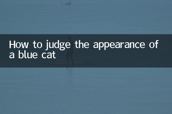چگونه ظاهر یک گربه آبی را قضاوت کنیم