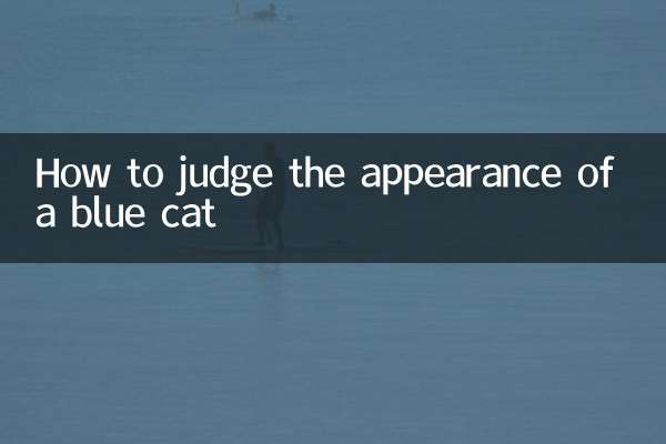 چگونه ظاهر یک گربه آبی را قضاوت کنیم