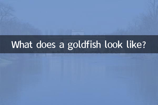 What does a goldfish look like?