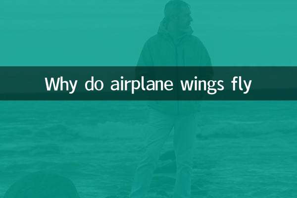 Perché le ali degli aerei volano