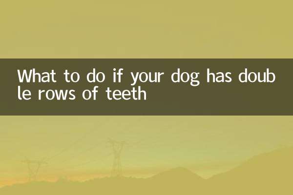 What to do if your dog has double rows of teeth