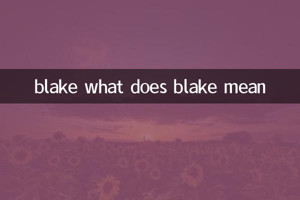 blake what does blake mean