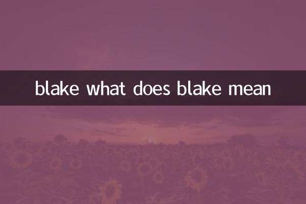blake what does blake mean