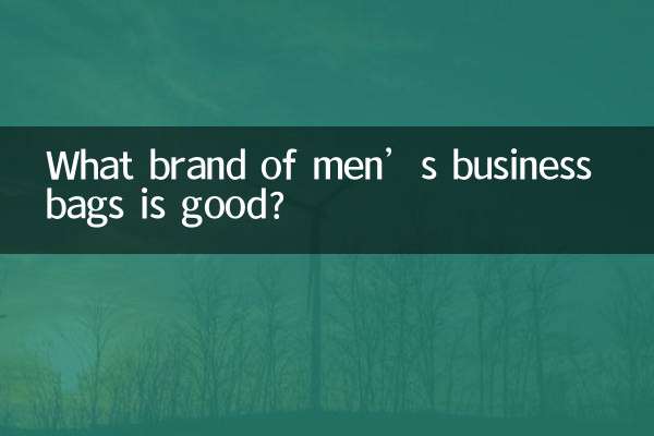 Quale marca di borse da lavoro da uomo è buona?