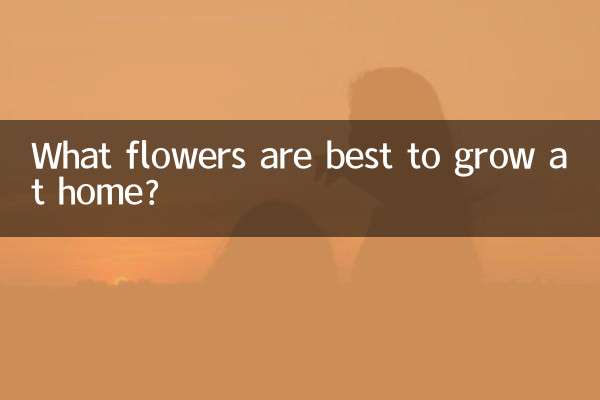 What flowers are best to grow at home?
