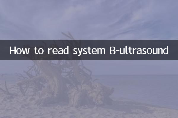 Cómo leer el sistema B-ultrasonido