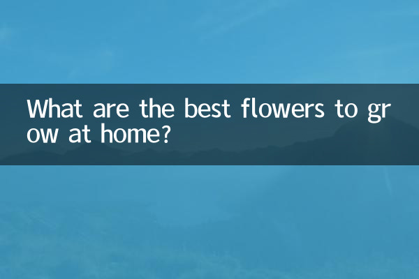 What are the best flowers to grow at home?