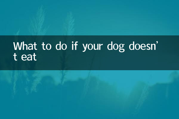 犬が食べない場合の対処法