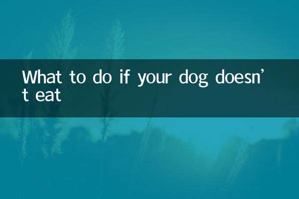 আপনার কুকুর না খেয়ে থাকলে কি করবেন