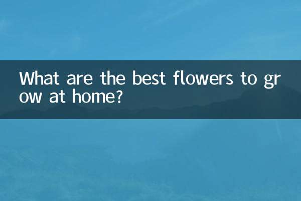 Welche Blumen wachsen am besten zu Hause?