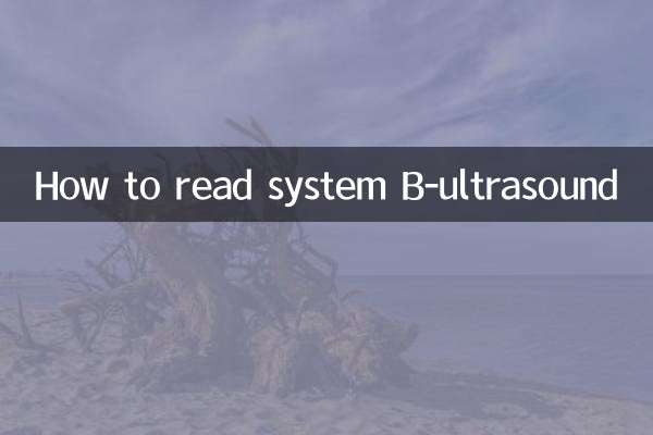 Cómo leer el sistema B-ultrasonido