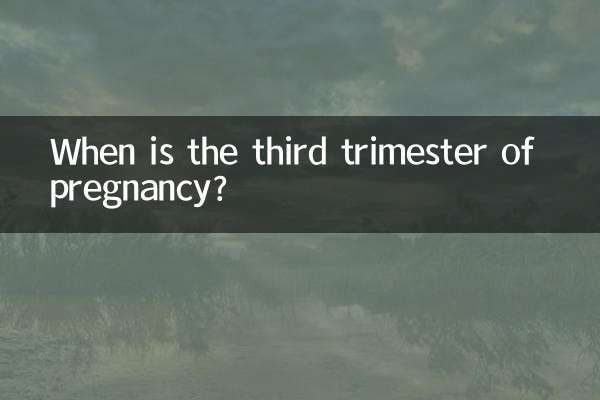 When is the third trimester of pregnancy?