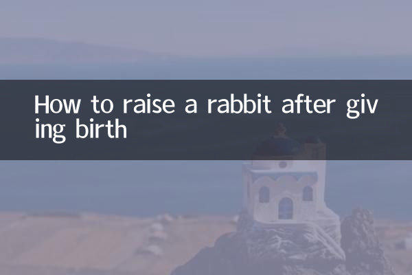 نحوه پرورش خرگوش بعد از زایمان