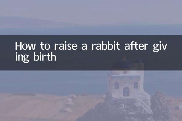 জন্ম দেওয়ার পরে কীভাবে খরগোশকে বড় করবেন