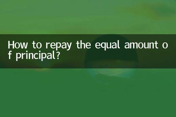 Wie kann der gleiche Kapitalbetrag zurückgezahlt werden?