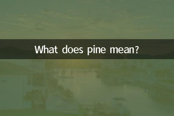 کاج یعنی چه؟