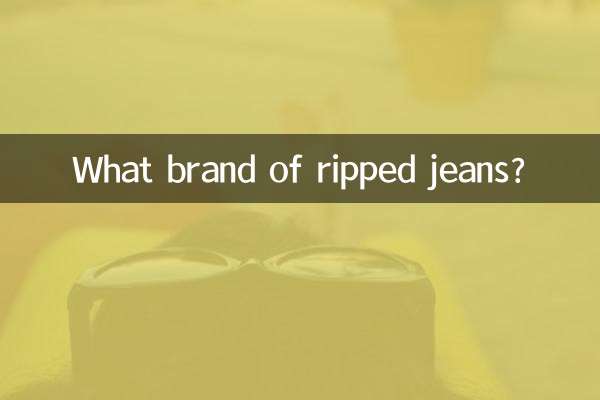What brand of ripped jeans?
