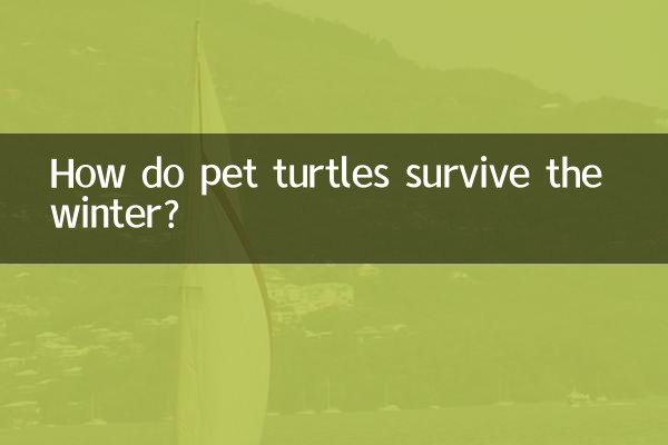 Come sopravvivono all'inverno le tartarughe da compagnia?
