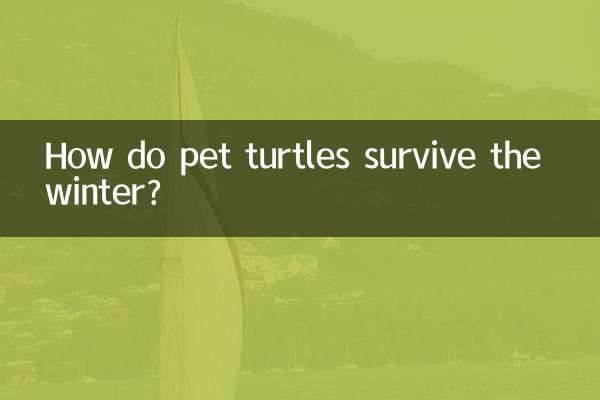 ペットのカメはどうやって冬を越すのでしょうか？