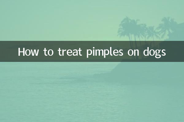 How to treat pimples on dogs