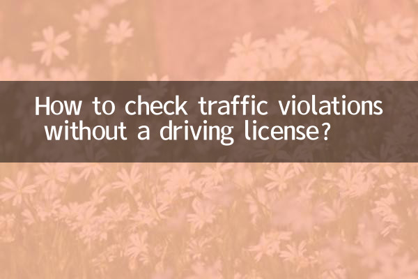 Wie kann man Verkehrsverstöße ohne Führerschein überprüfen?