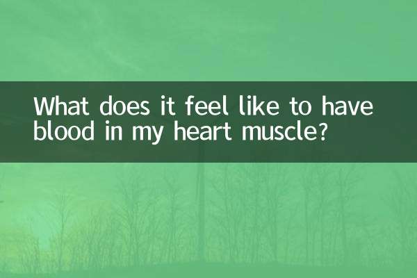 ما هو شعور وجود الدم في عضلة القلب؟