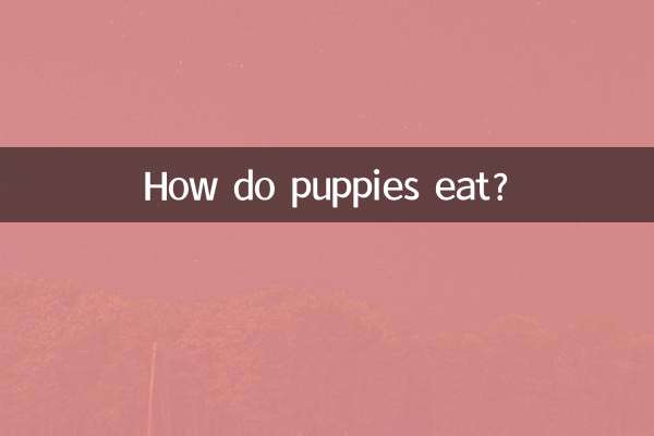 Как едят щенки?