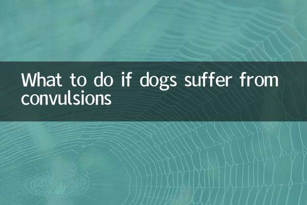 Qué hacer si los perros sufren convulsiones