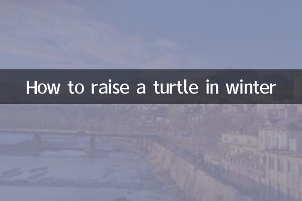 How to raise a turtle in winter